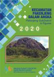 Pakenjeng Subdistrict In Figures 2020